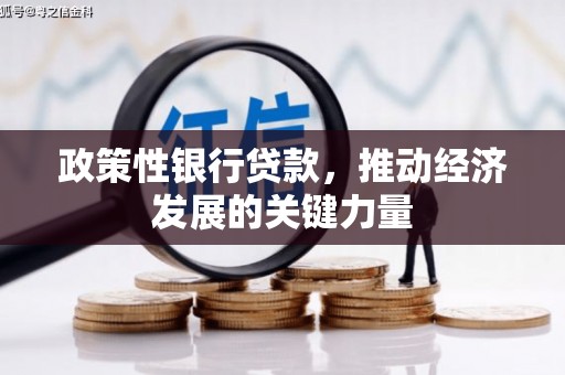 南朗政策性银行贷款，推动经济发展的关键力量