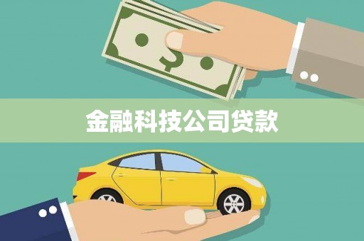 桃城金融科技公司贷款