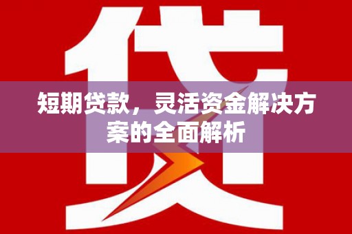 平顶山短期贷款，灵活资金解决方案的全面解析