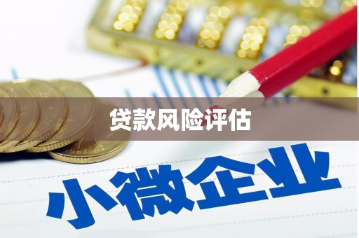 和美贷款风险评估