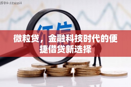 元朗微粒贷，金融科技时代的便捷借贷新选择