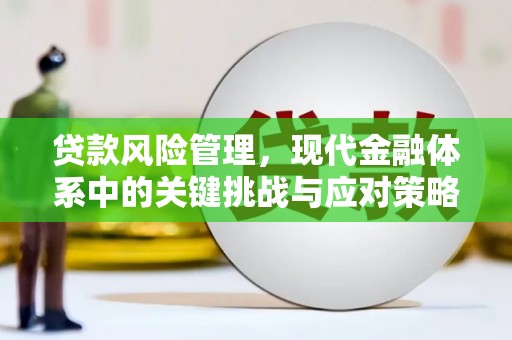 襄阳贷款风险管理，现代金融体系中的关键挑战与应对策略