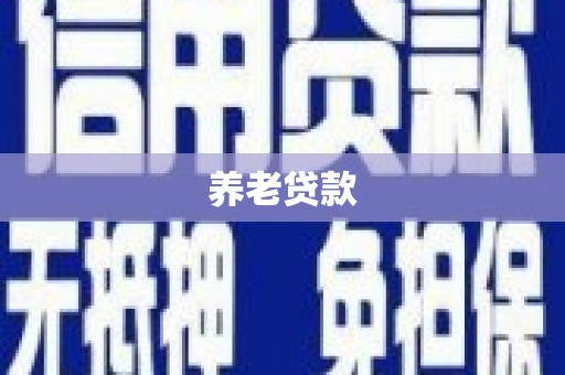 卢龙养老贷款