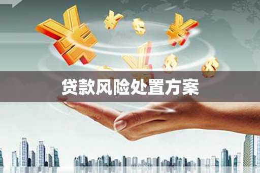 清河门贷款风险处置方案