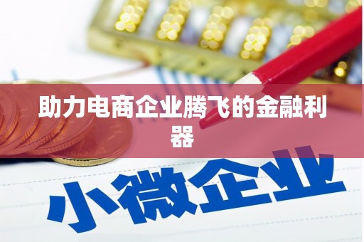 巴楚助力电商企业腾飞的金融利器