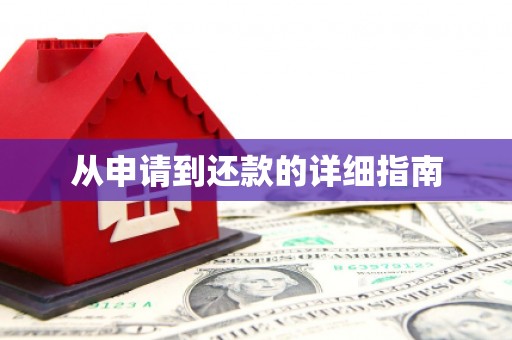 麻山从申请到还款的详细指南