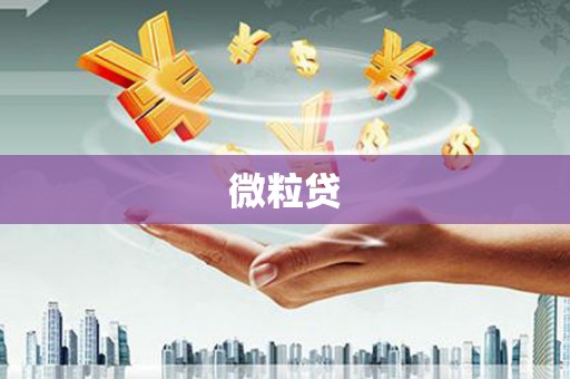 昆都仑微粒贷