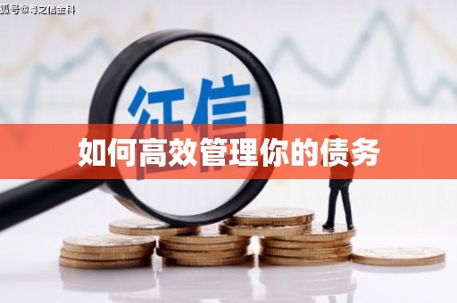 临安如何高效管理你的债务