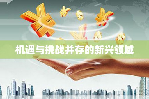 崖州机遇与挑战并存的新兴领域