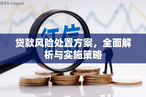 历城贷款风险处置方案，全面解析与实施策略