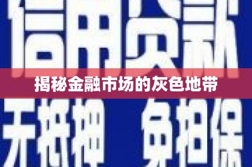 西夏揭秘金融市场的灰色地带