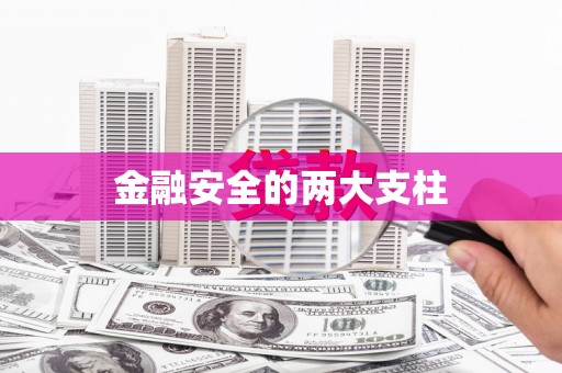 王益金融安全的两大支柱