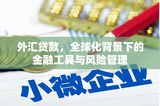 葫芦岛外汇贷款，全球化背景下的金融工具与风险管理